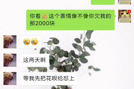 宏伟对付老赖：刘小姐被老赖拖欠货款